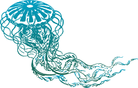 A jellyfish which is our logo